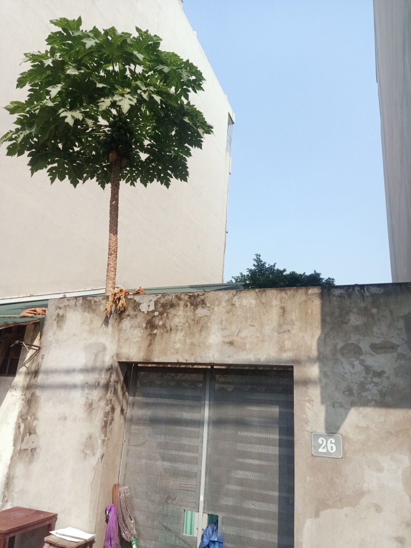 BÁN ĐẤT ĐÌNH THÔN, NAM TỪ LIÊM 50M, MT 4M, Ô TÔ, KINH DOANH 9 TỶ. 0937651883. - Ảnh 2